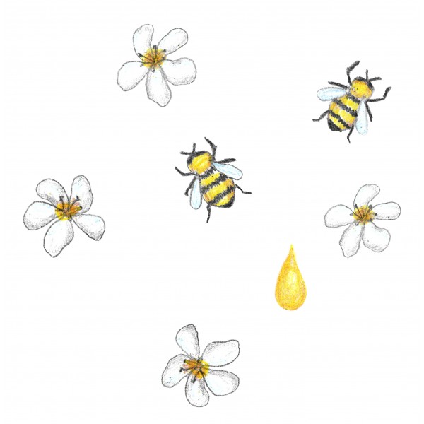 Creioane cerate Soft 24 culori/set Jovi Softywax