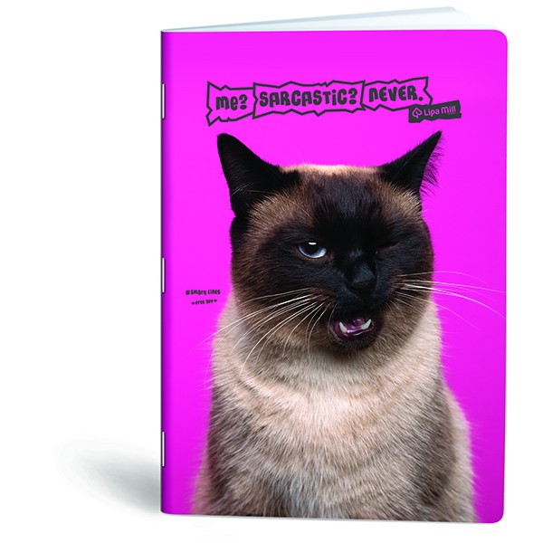 Caiet A4, 40 file, Lipa Mill Woof, dictando