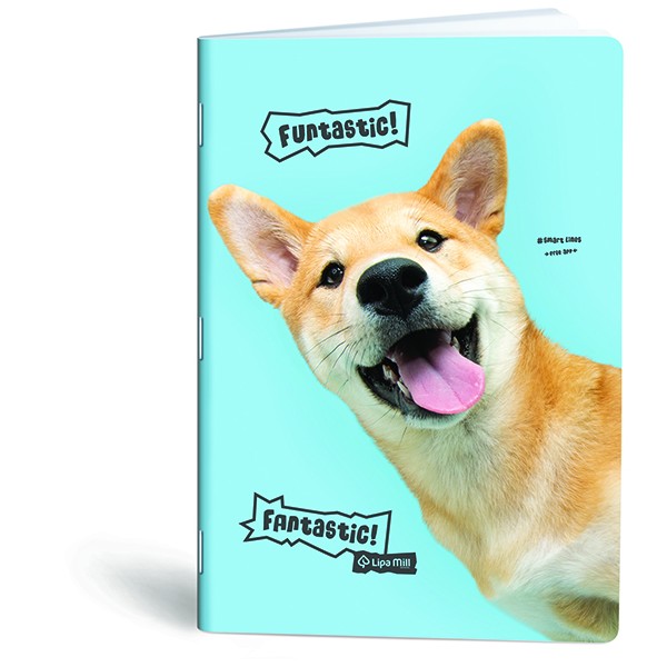 Caiet A4, 40 file, Lipa Mill Woof, dictando