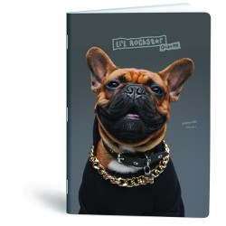 Caiet A4, 40 file, Lipa Mill Woof, matematica