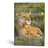 Caiet A4, 40 file, Lipa Mill Lion King, matematica