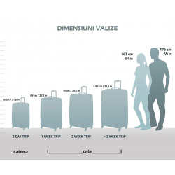 Dimensiunile si greutatea maxima admisa in avioane