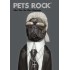 Caiet A4 matematica Pets Rock