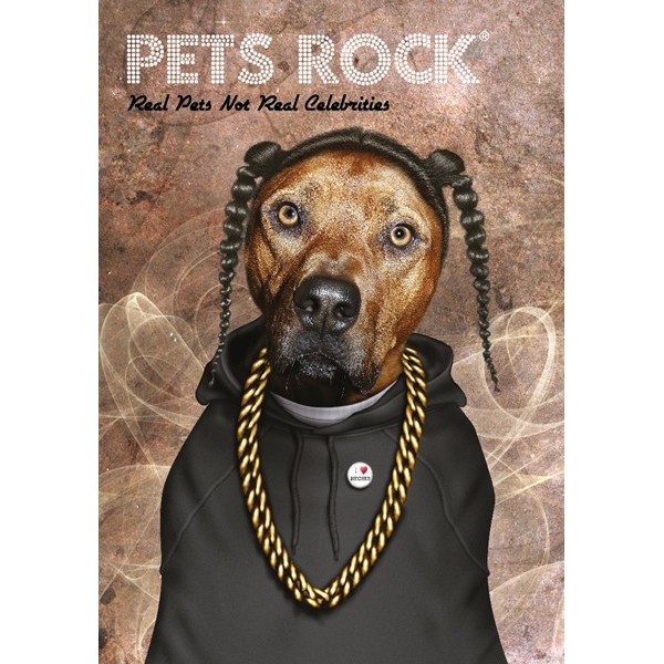 Caiet A4 matematica Pets Rock
